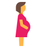 Pregnancy Calendar